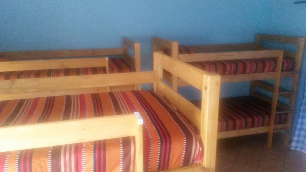 The Birches Backpacker Lodge Randburg Rum bild