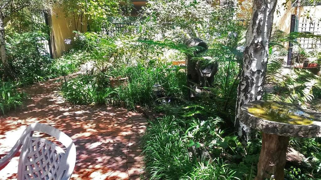 The Birches Backpacker Lodge Randburg Exteriör bild
